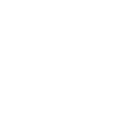 Toro Bianco